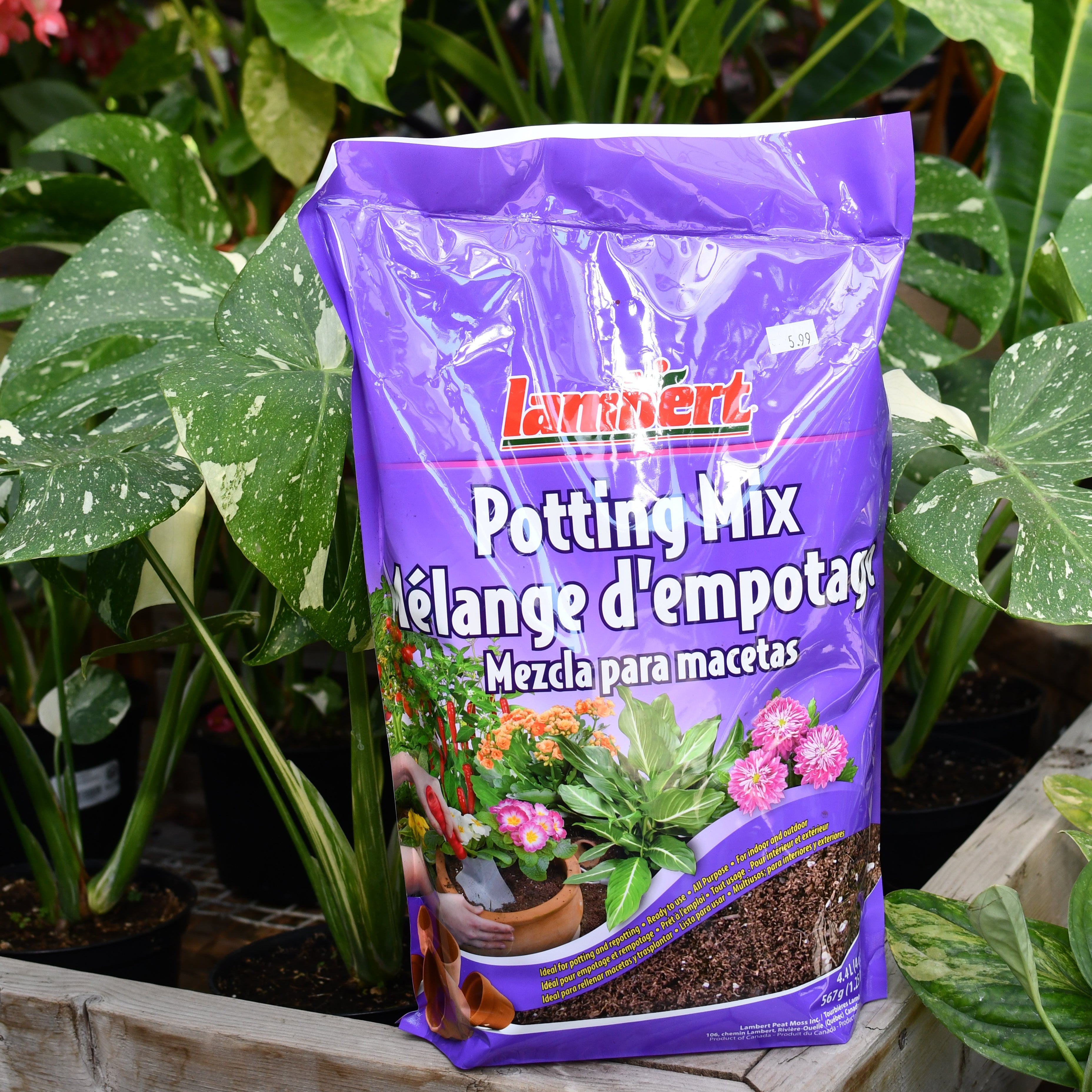 Lambert potting soil – Serres Lavoie