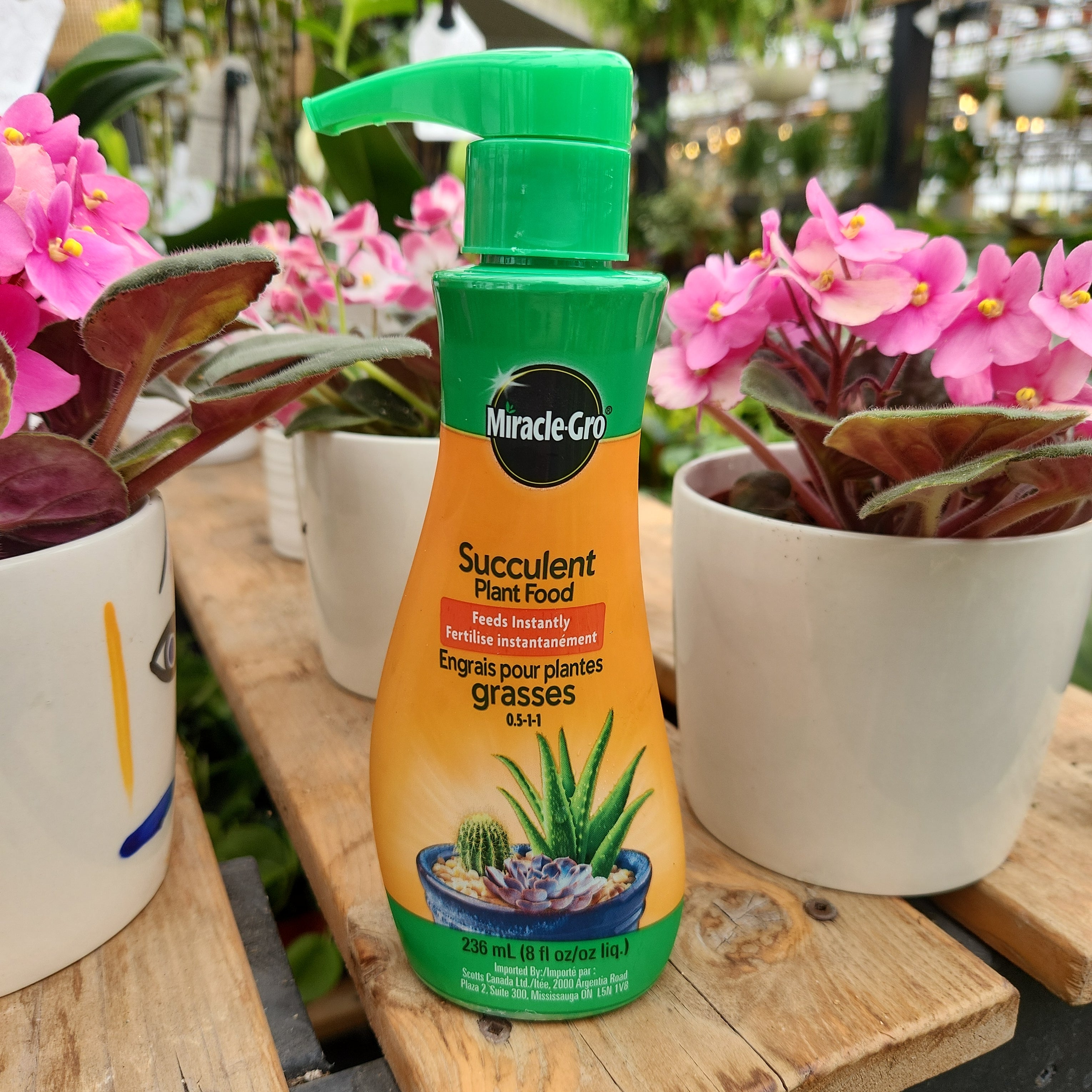 succulent spray Spray fertilizer for succulents | Fertilizer