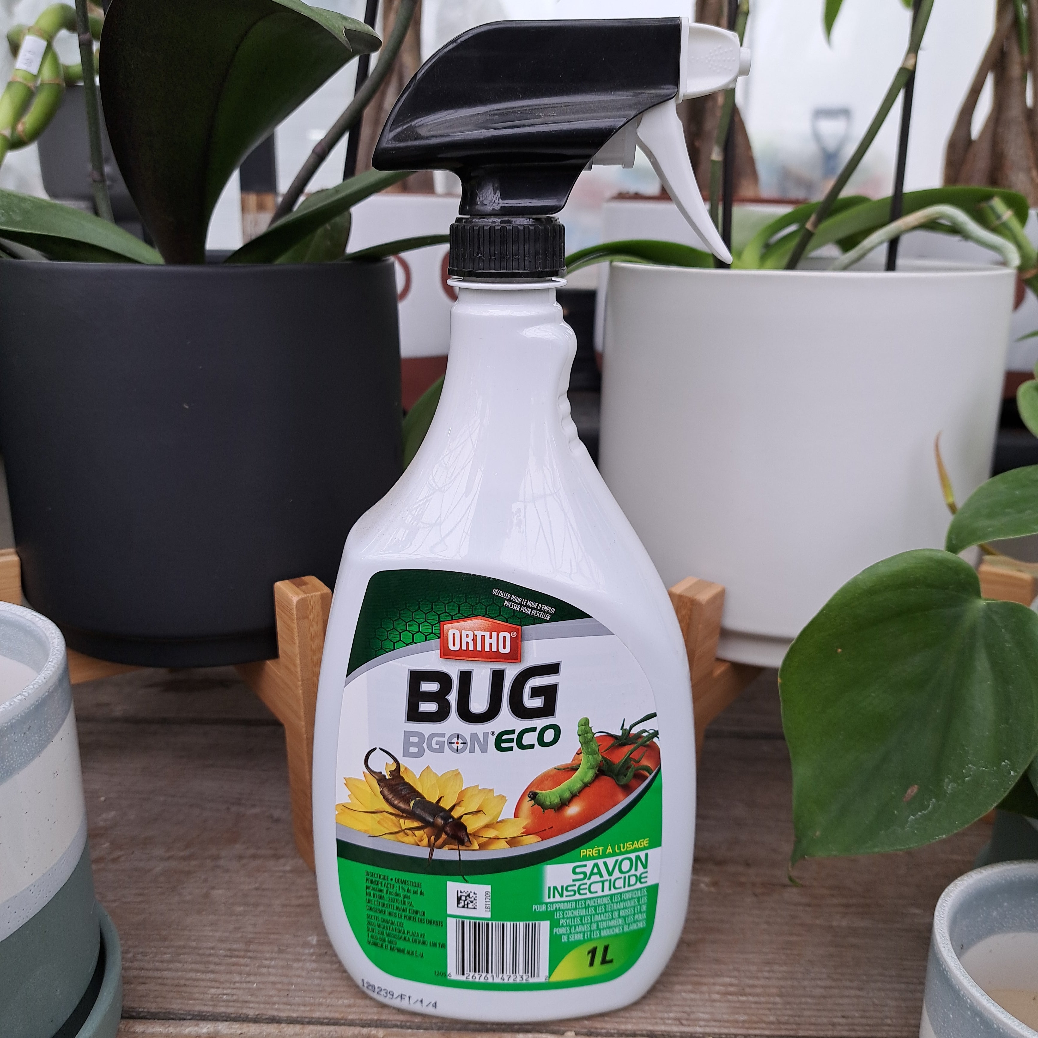 scotts insecticidal soap Bug Insecticide Soap bgon – Serres Lavoie