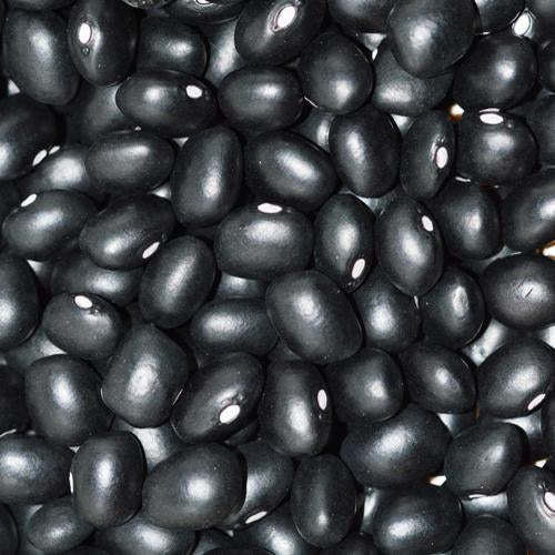 Hopi Black *organic* Dry Bean Seeds - Serres Lavoie