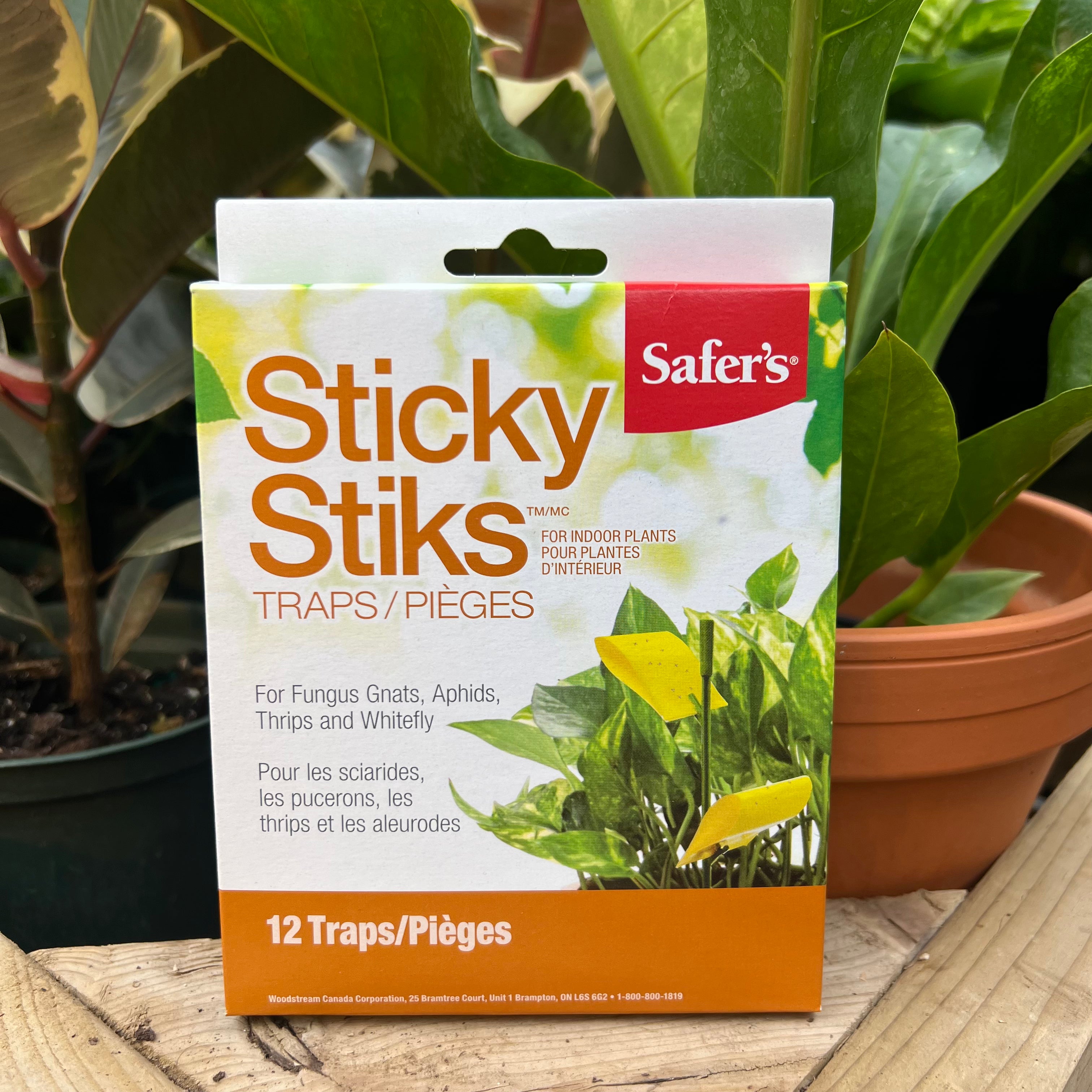 Sticky Sticks Trap