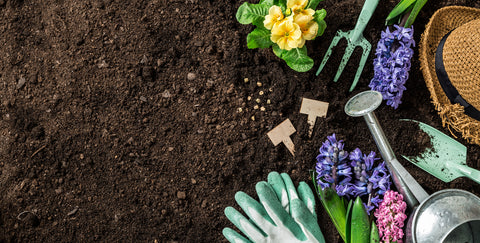 The difference between planting soil and garden soil