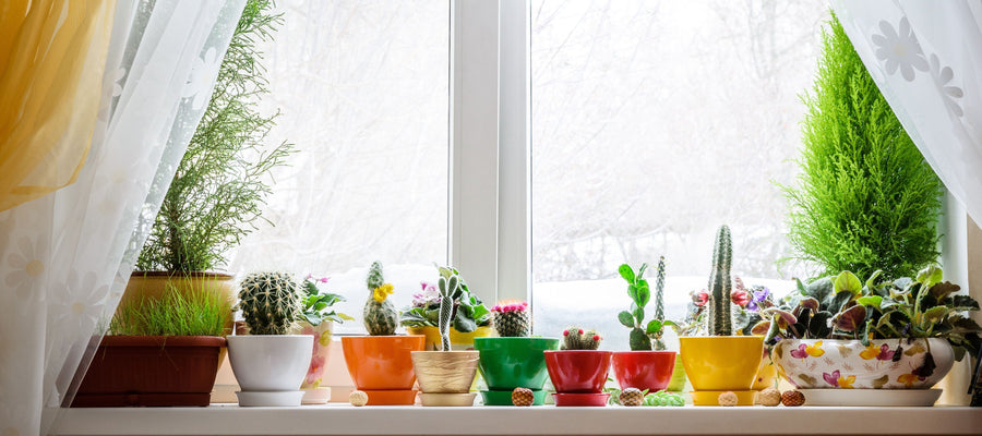 La fertilisation hivernale, oui ou non ?