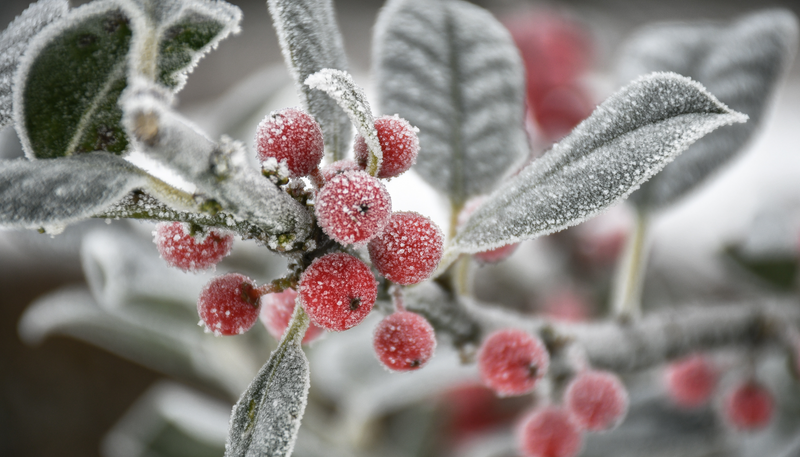 Alerte au froid !