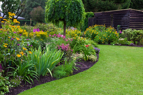 Some tips for creating a flower bed