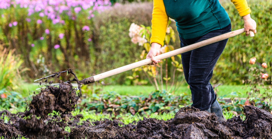 L'importance de l'amendement à l'automne: l'apport de compost