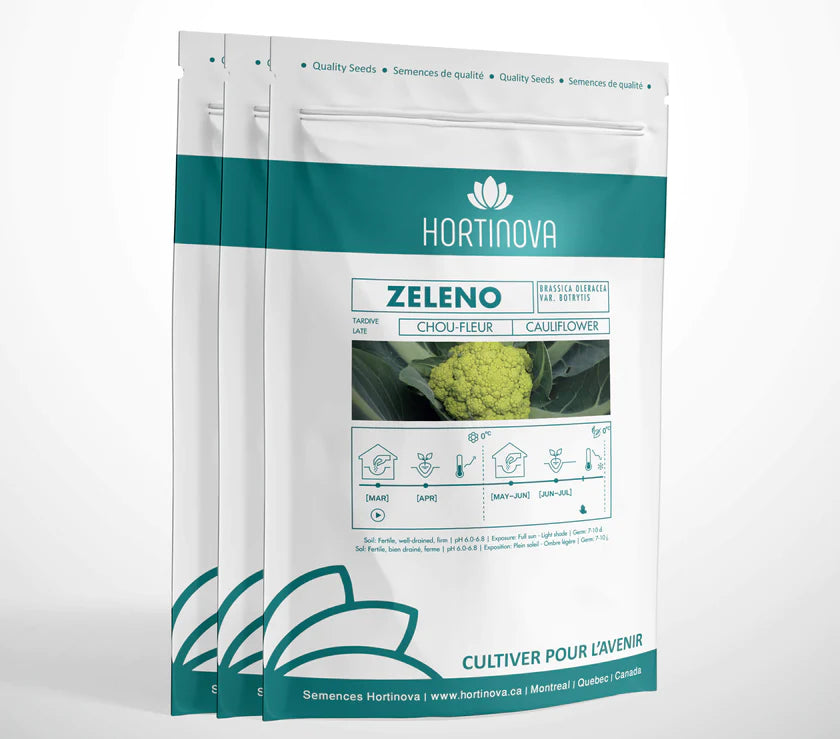 ZELENO Open Pollinated Green Cauliflower Seeds