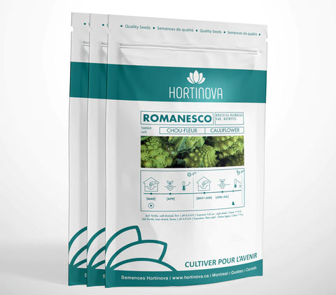 Romanesco Open Pollinated Cauliflower Seeds ROMANESCO