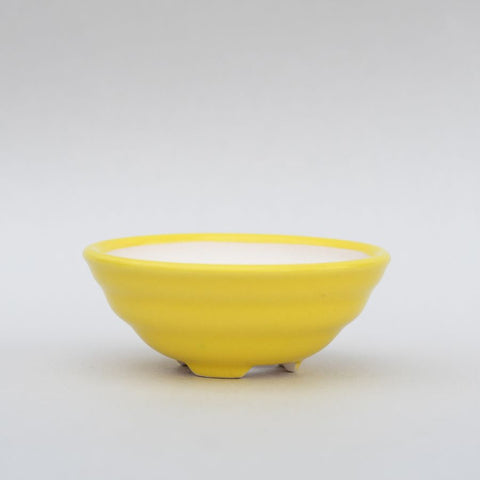 Yellow round pot