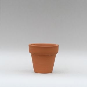 Open image in slideshow, Italian terracotta pot

