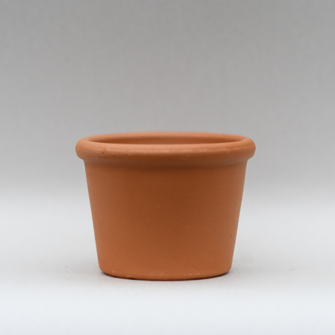 Medium bordato terracotta pot