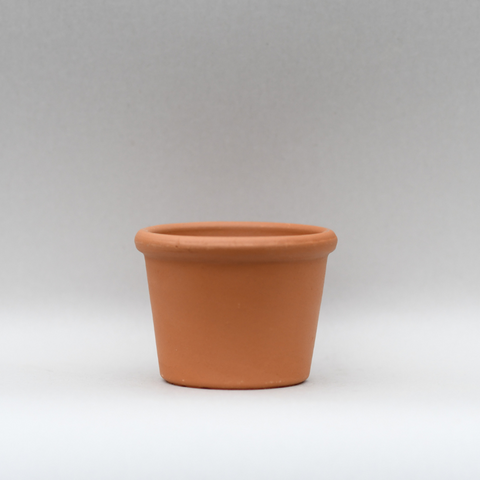 Small bordato terracotta pot 