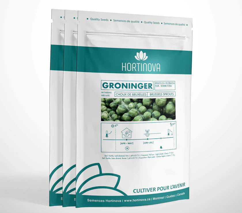 GRONINGER Open Pollinated Brussels Sprouts Ancestral Seeds