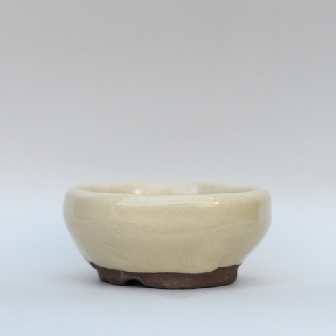 Cream rounded pot