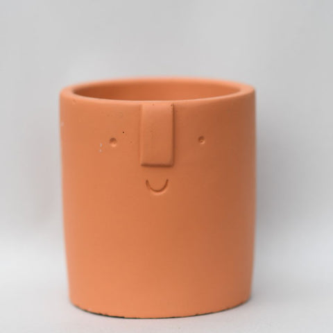 Terracotta face plant pot
