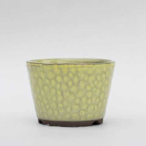 Lemon-Lime Textured Pot