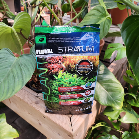 Stratum for plants