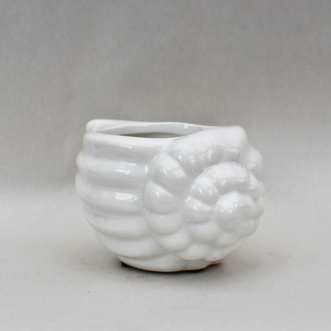 Cache-pot blanc coquillage