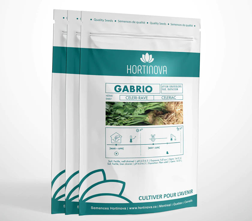 GABRIO Open Pollinated Celeriac Seeds