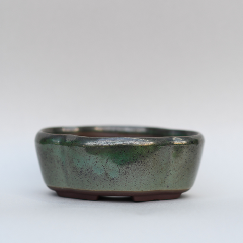 Stylish oval turquoise pot with brown border