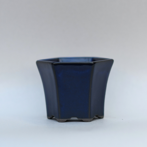 Dark blue hexagonal pot