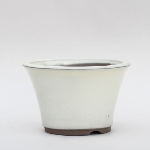 White bowl pot