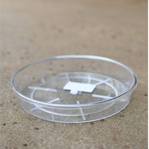 TeraPlast transparent plastic saucer