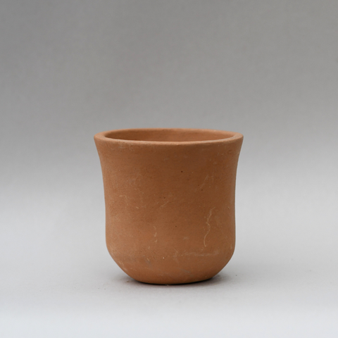 Terracotta plant pot