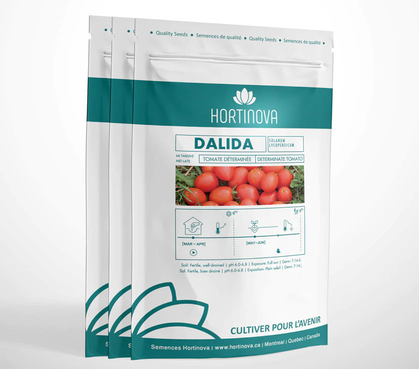 Open Pollinated Field Tomato Seeds DALIDA