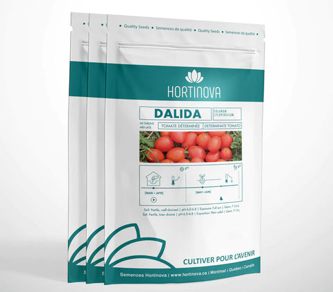 Semences de Tomate de Plein Champ à Pollinisation Libre DALIDA