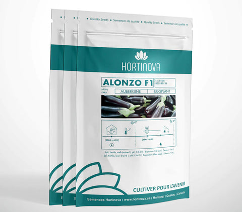 ALONZO F1 Hybrid Eggplant Seeds
