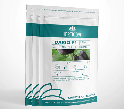 DARIO F1 Hybrid Eggplant Seeds