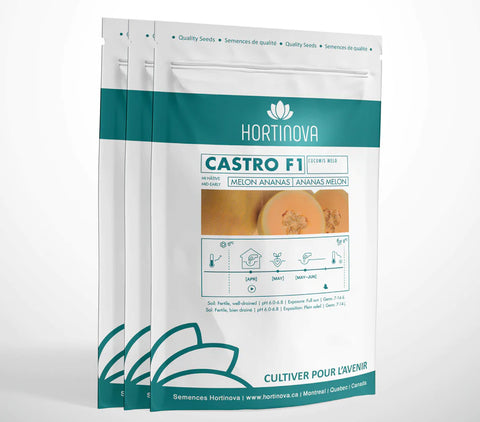 CASTRO F1 Pineapple Melon Seeds