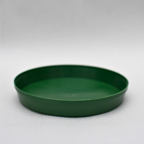 Large border green plastic saucer