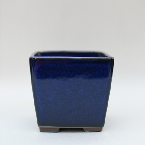 Blue square pot