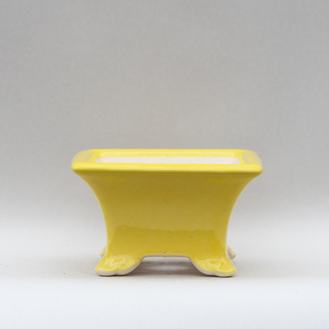 Yellow square pot