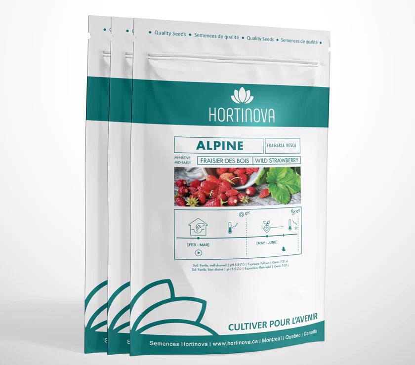 Open Pollinated Strawberry Seeds ALPINE