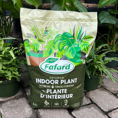 Potting soil for tropical plants
