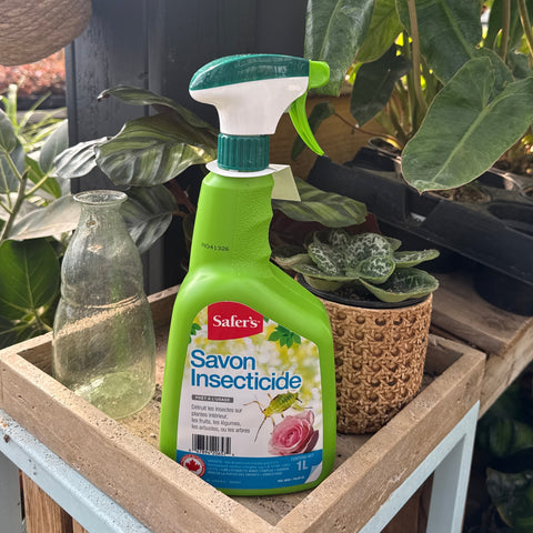Safer's Savon Insecticide