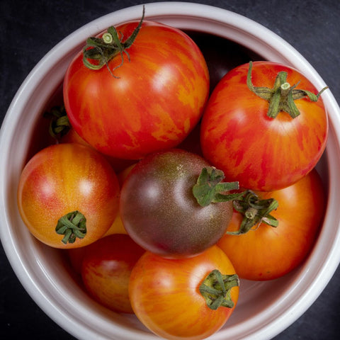 Tomate 'Apricot Zebra' (Jaune marbrée)