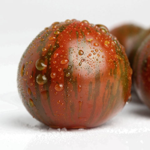 Tomate 'Bumble Bee' (Cerise orange striée)