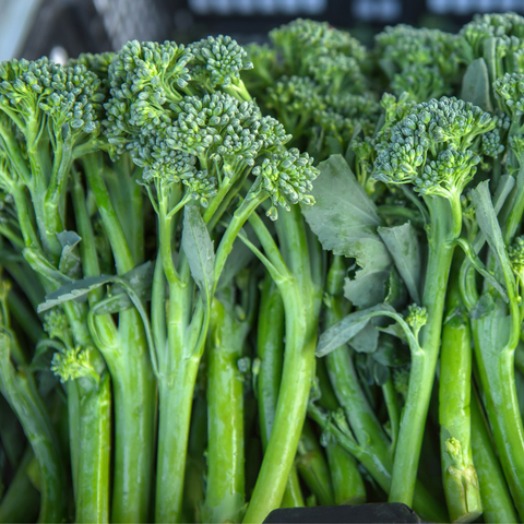 Brocoli Baby artwork