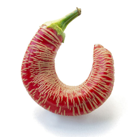 Piment 'Rezha Macedonian' (Rouge strié)