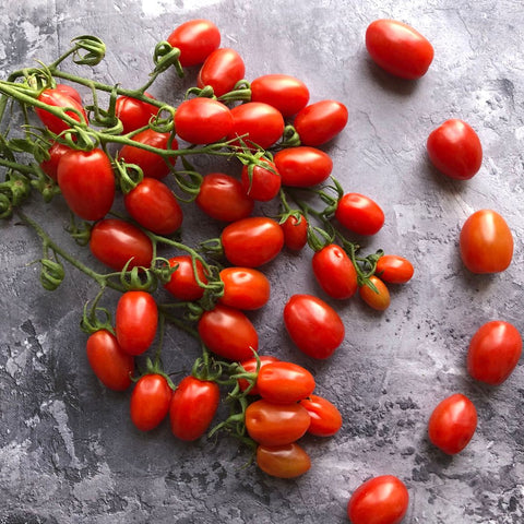 Tomate raisin 'Red Grape' (Rouge)