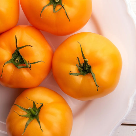 Tomate 'Carolina Gold' (Jaune regulière)