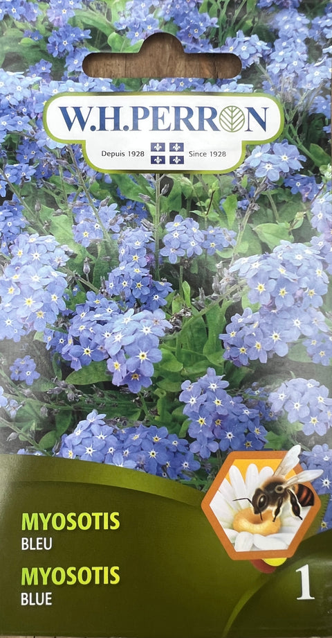 Blue Forget-Me-Not Seeds