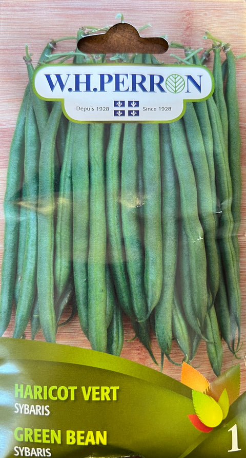 Sybaris green bean seeds