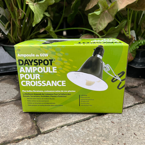 Kit Ampoule pour croissance Dayspot