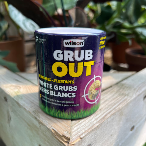 Nematodes against grubs Grub Out