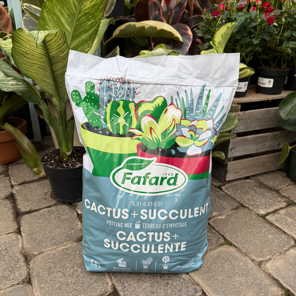 Terreau pour cactus et plantes grasses – Serres Lavoie